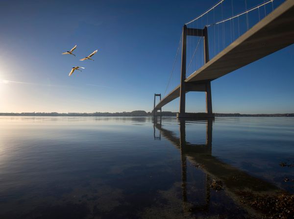 Gode hoteller og hotelpakker i Fredericia