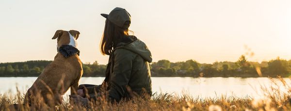 Hoteller i Ystad der tillader overnatning med hund