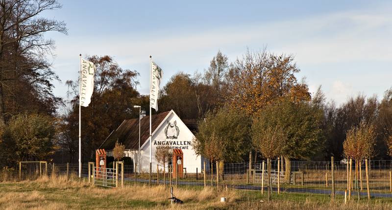 Omgivelser