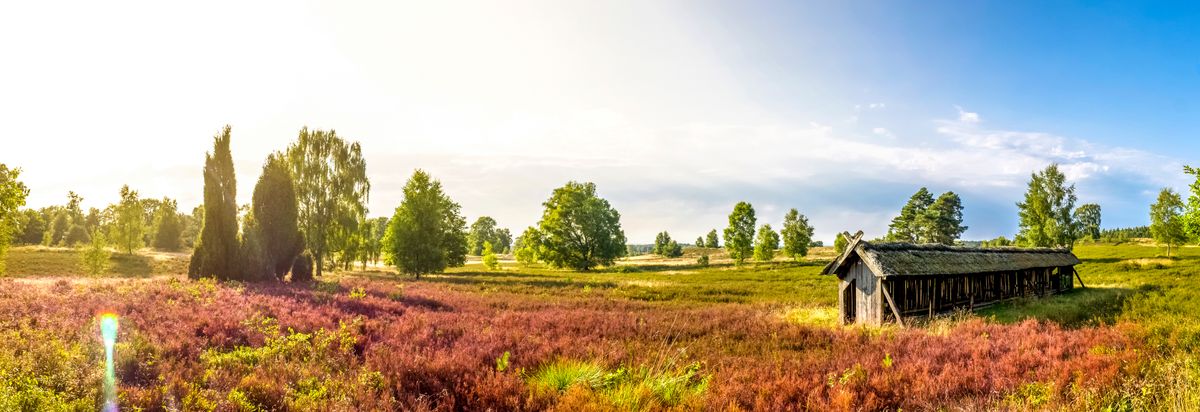 Gode hoteller og hotelpakker i Lueneburger Heide
