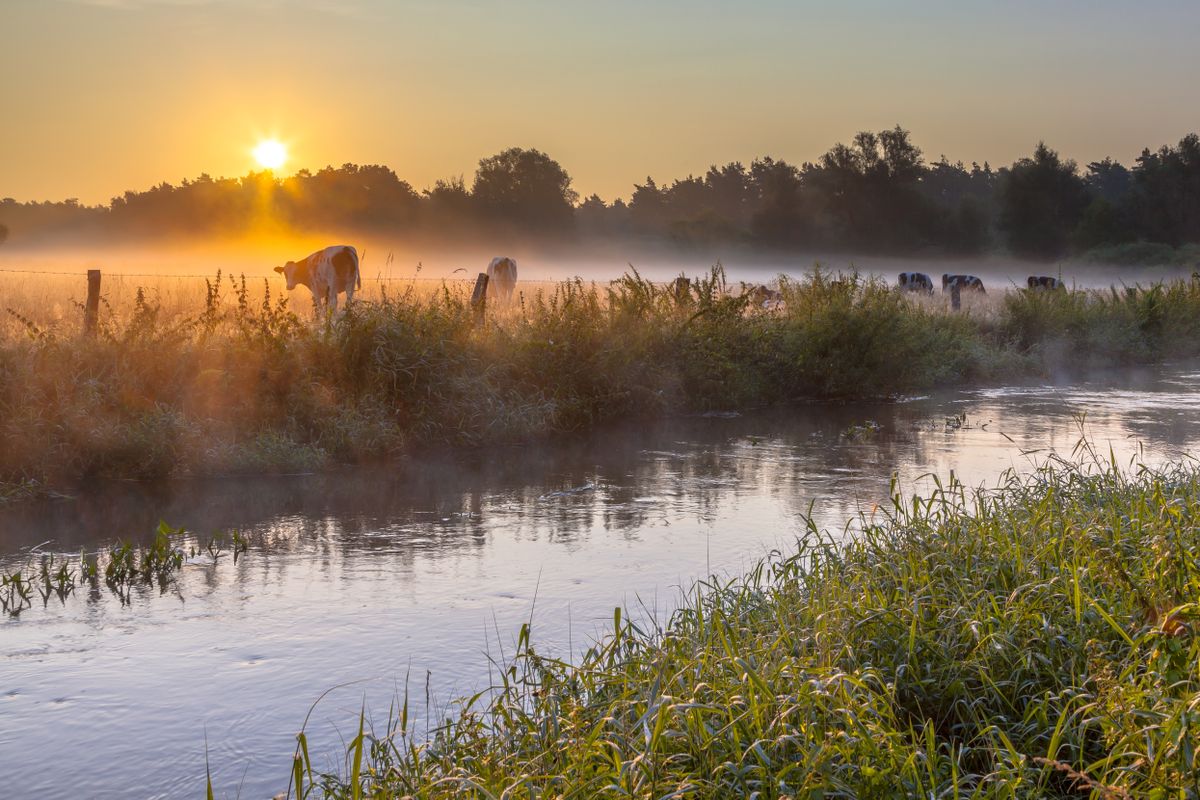 Gode hoteller og hotelpakker i Twente