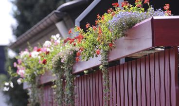 billede på Dobbeltværelse - balkon
