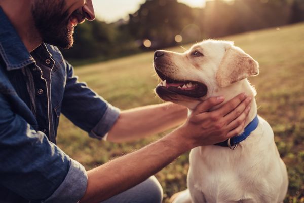 Hoteller i Tyskland der tillader overnatning med hund