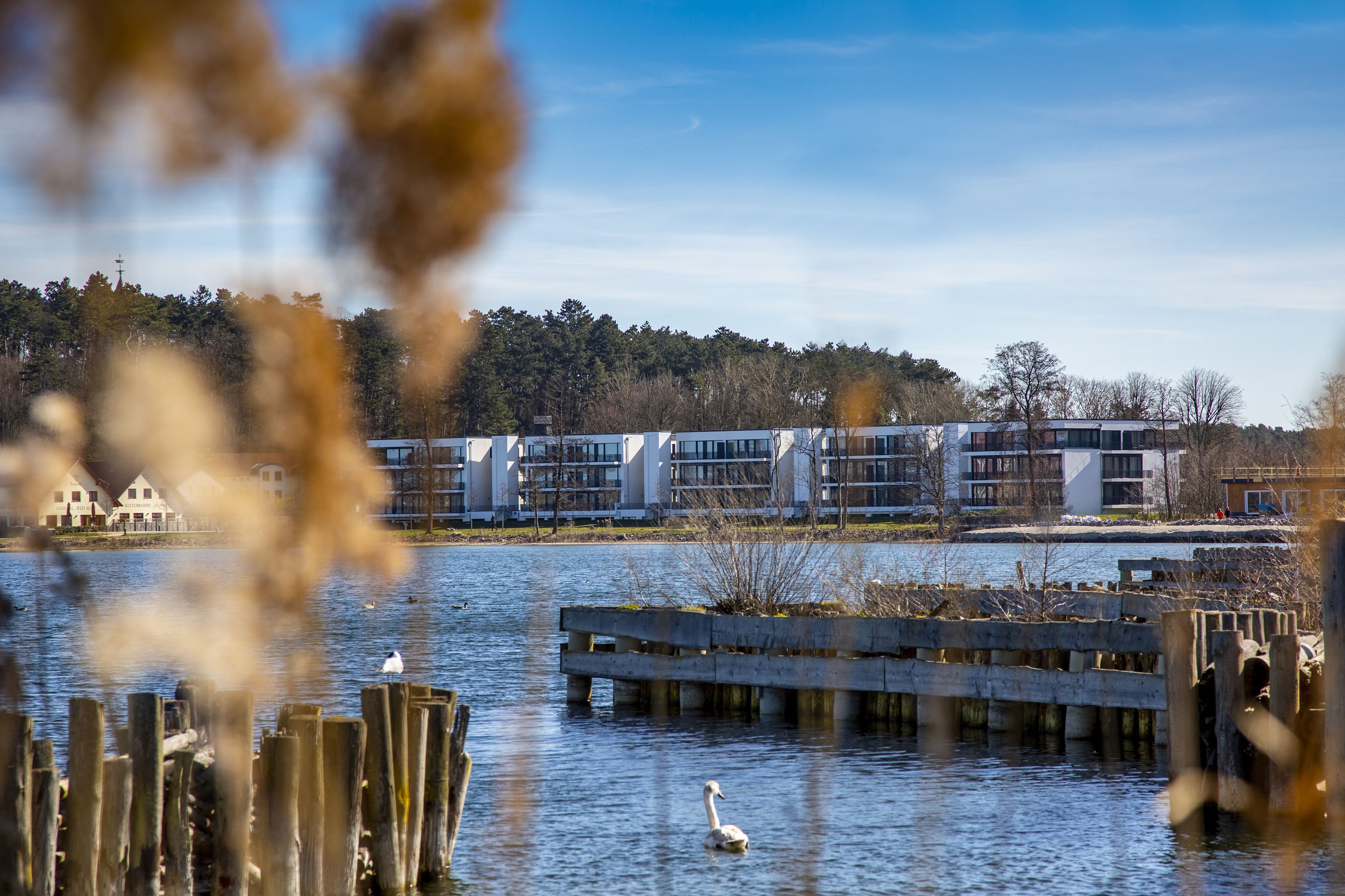Hovedbillede