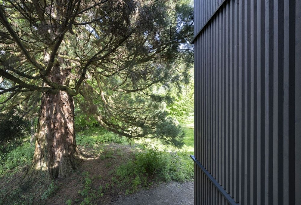 billede på Waldzimmer beim Bergmammut