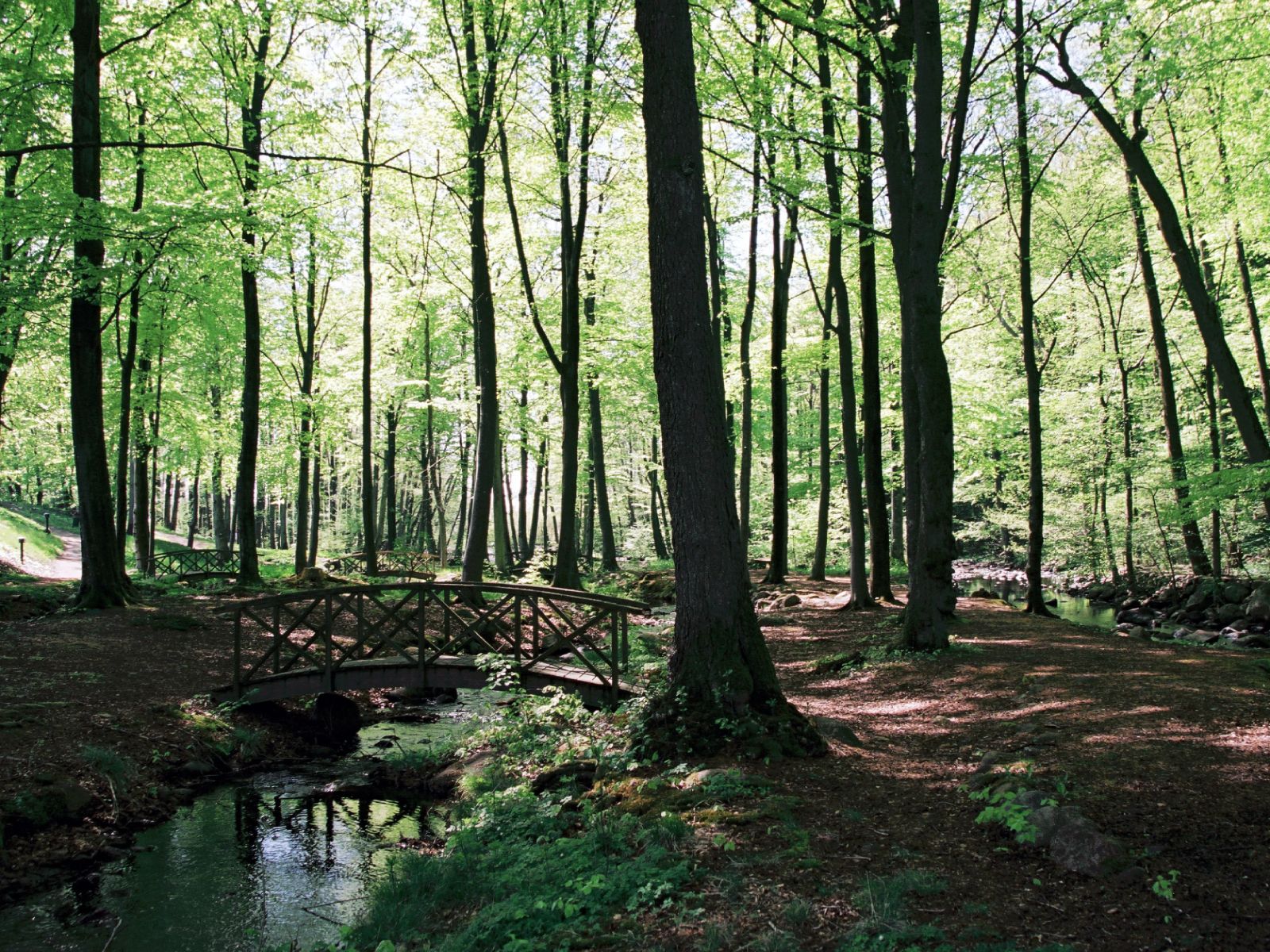 Omgivelser