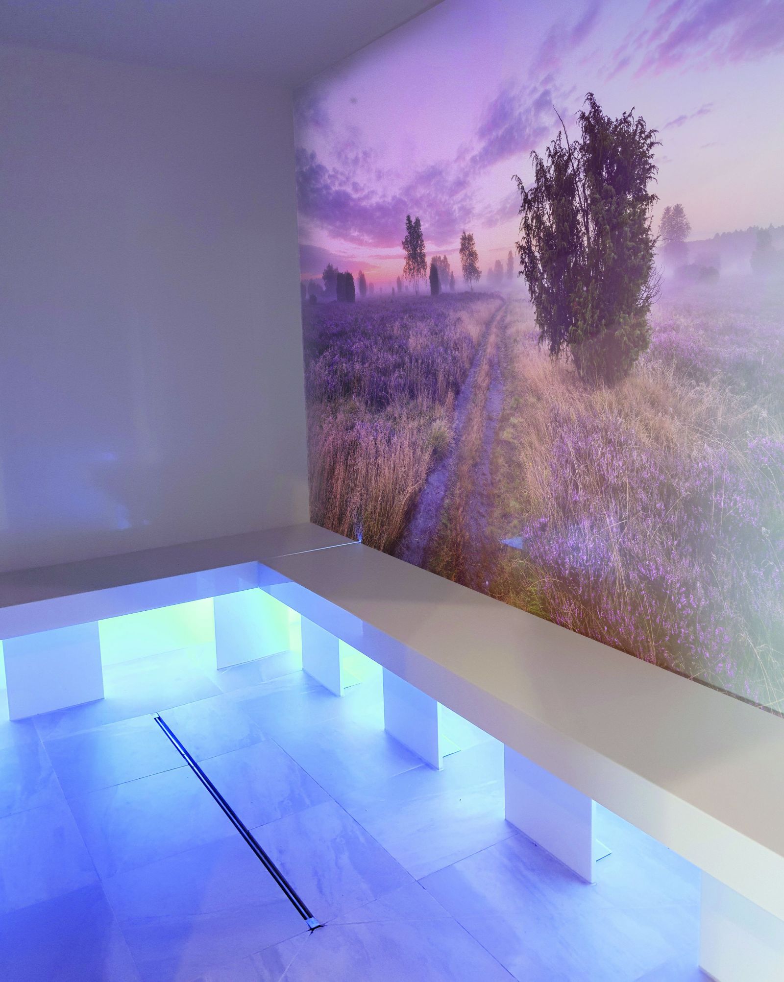 Spa / Wellness