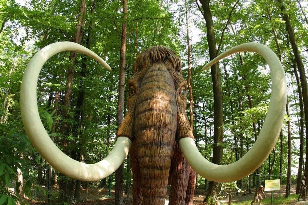 Generelt