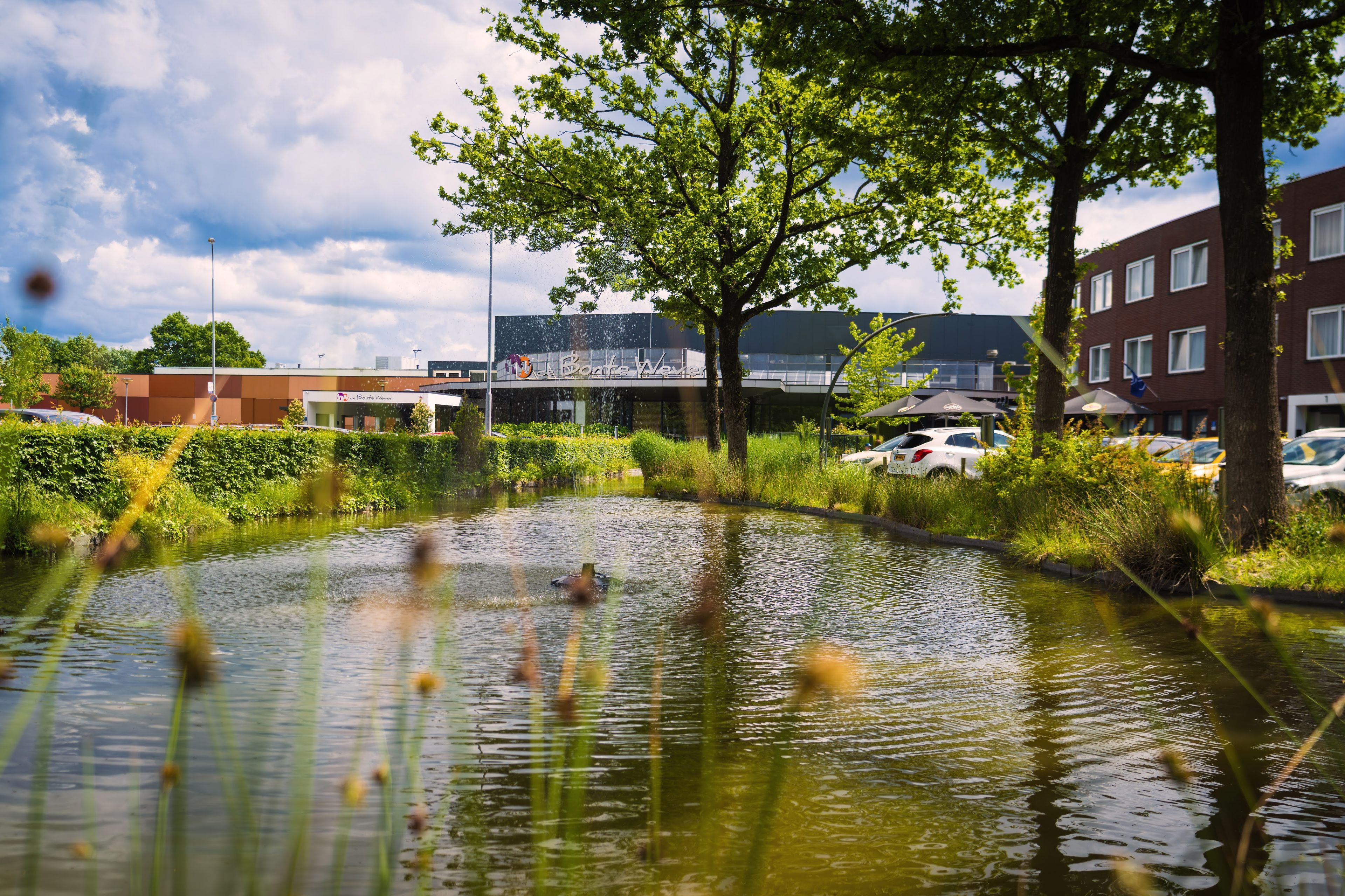 Hovedbillede