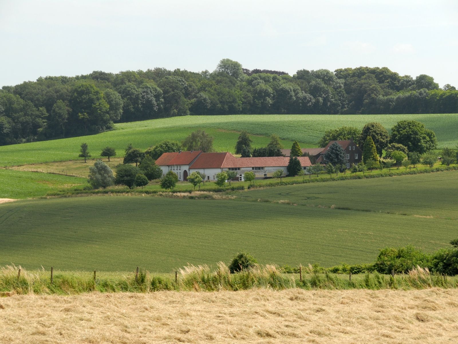 Omgivelser