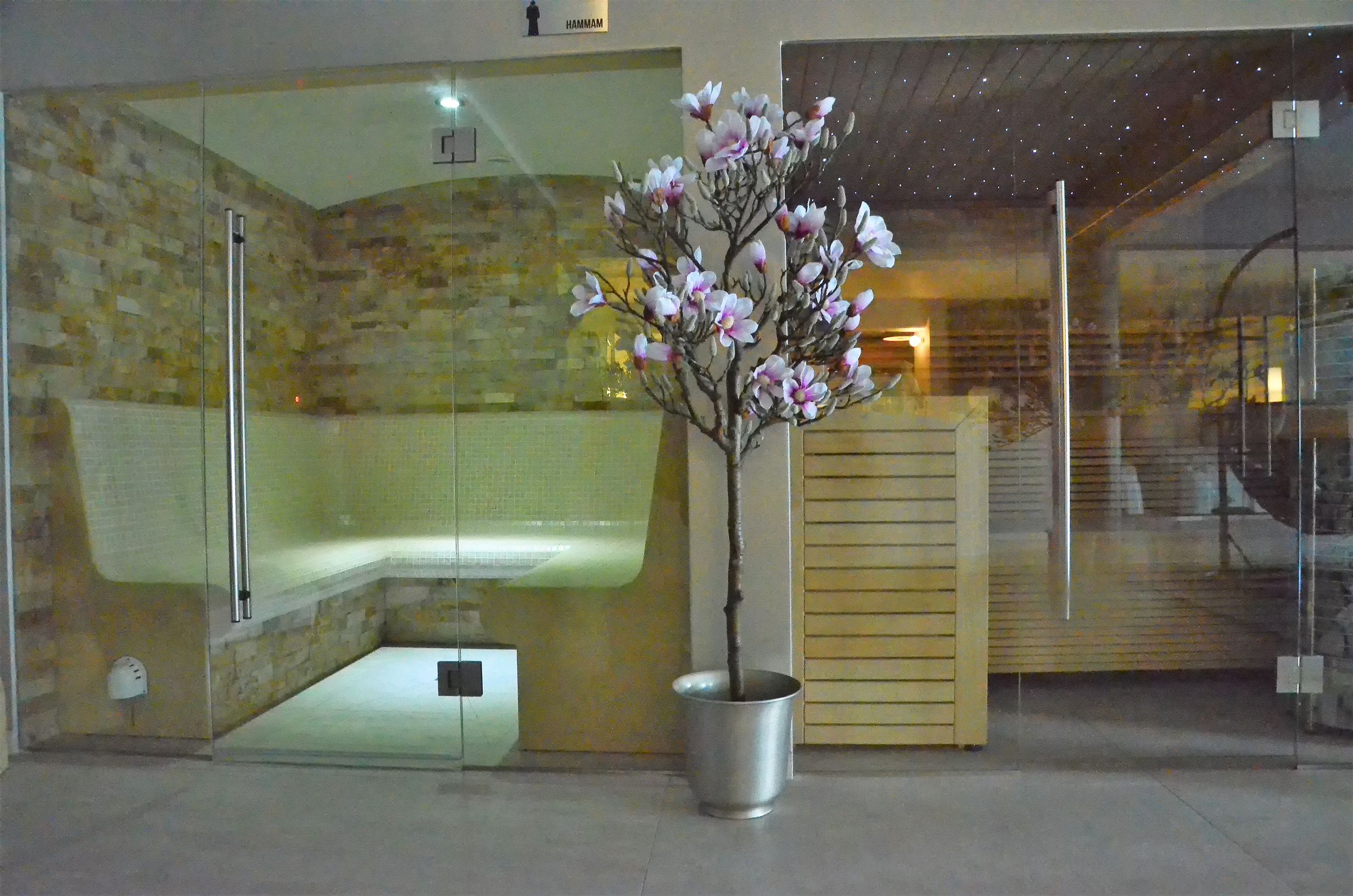 Spa / Wellness
