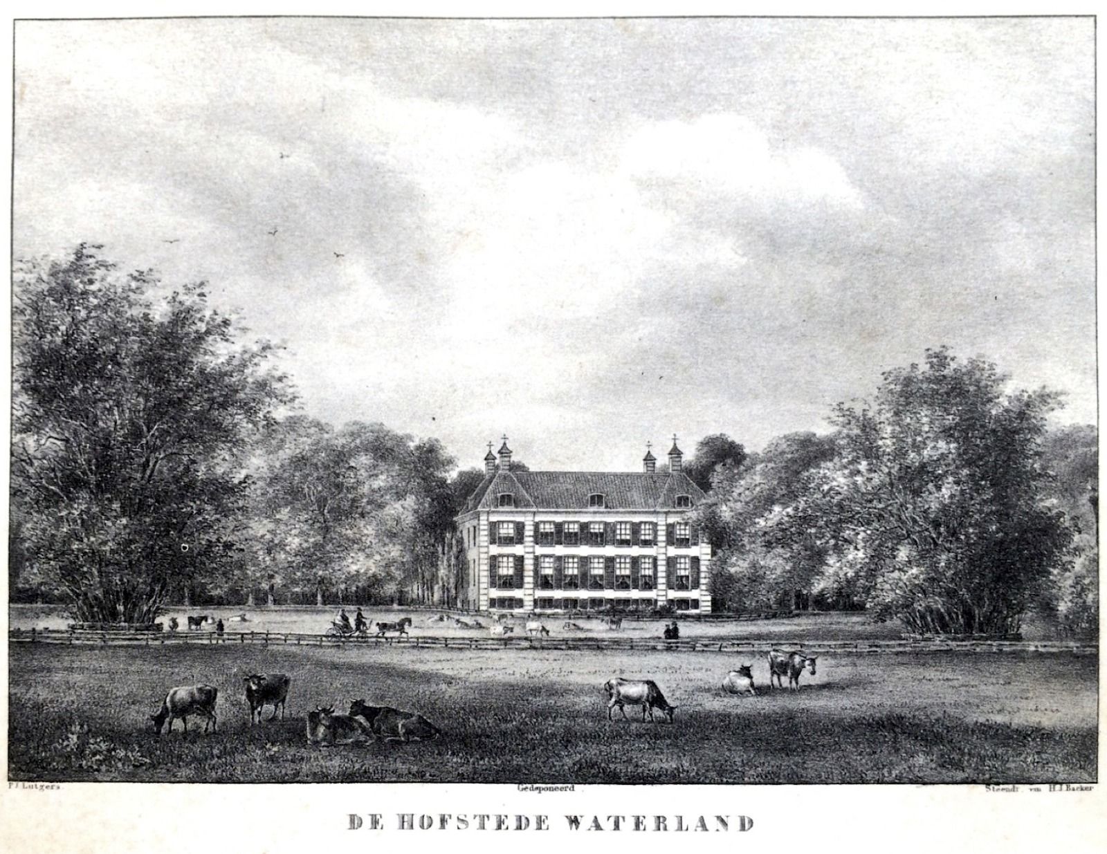 Hovedbillede