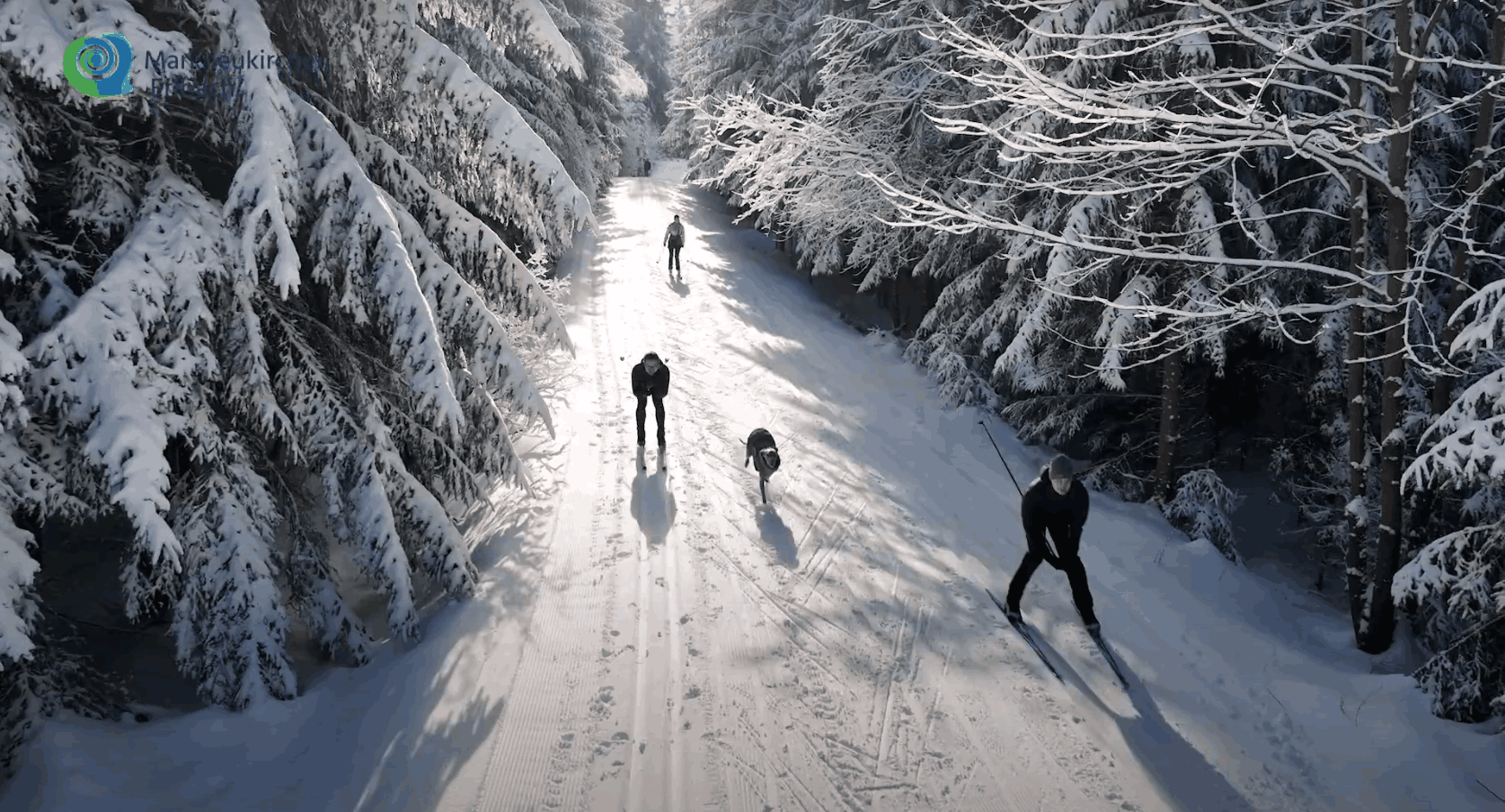 Skiområde