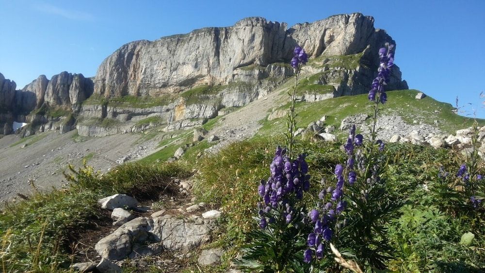 Generelt