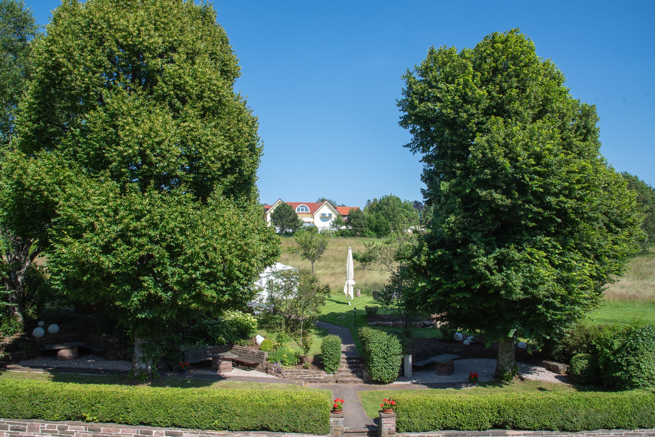 Hovedbillede