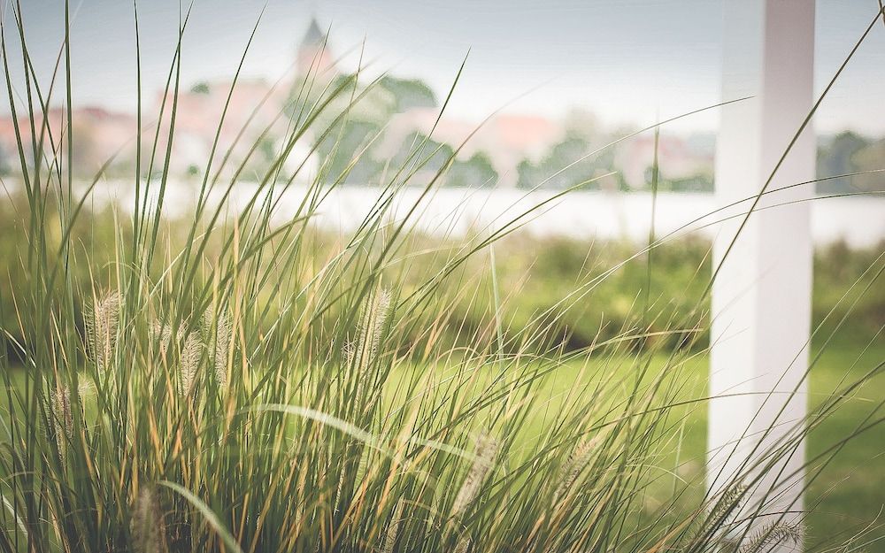 Generelt