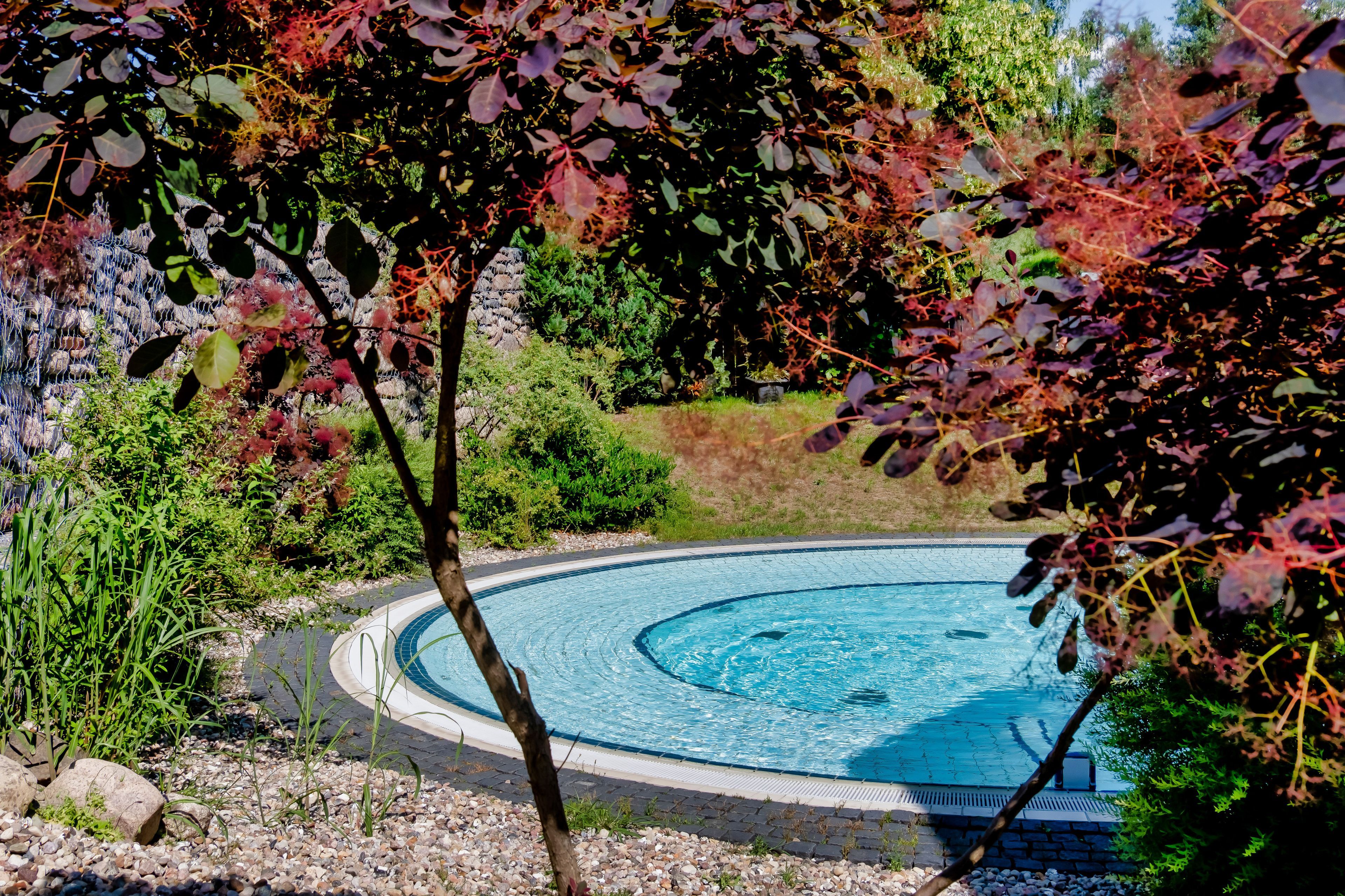 Spa / Wellness