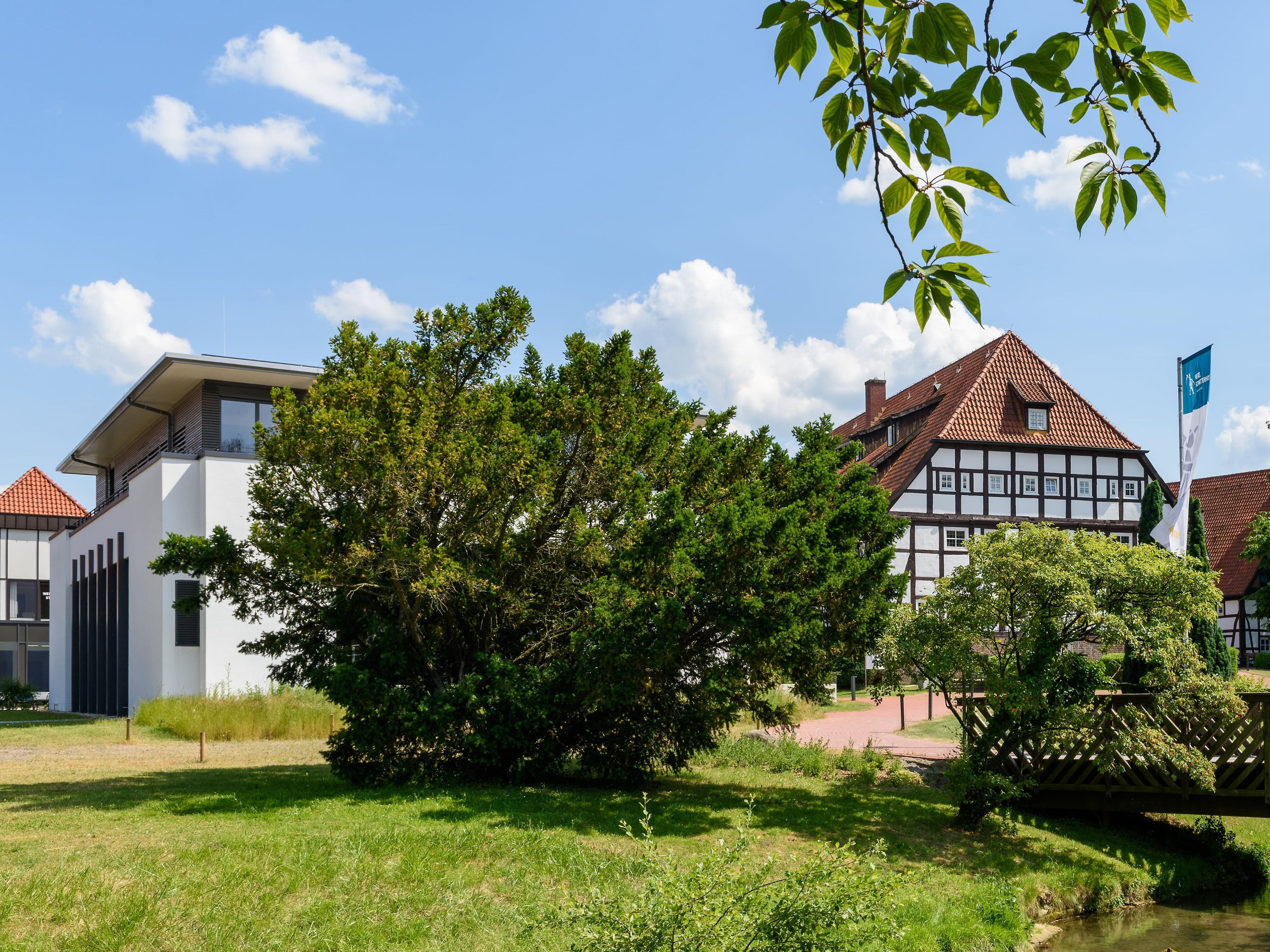 Hovedbillede