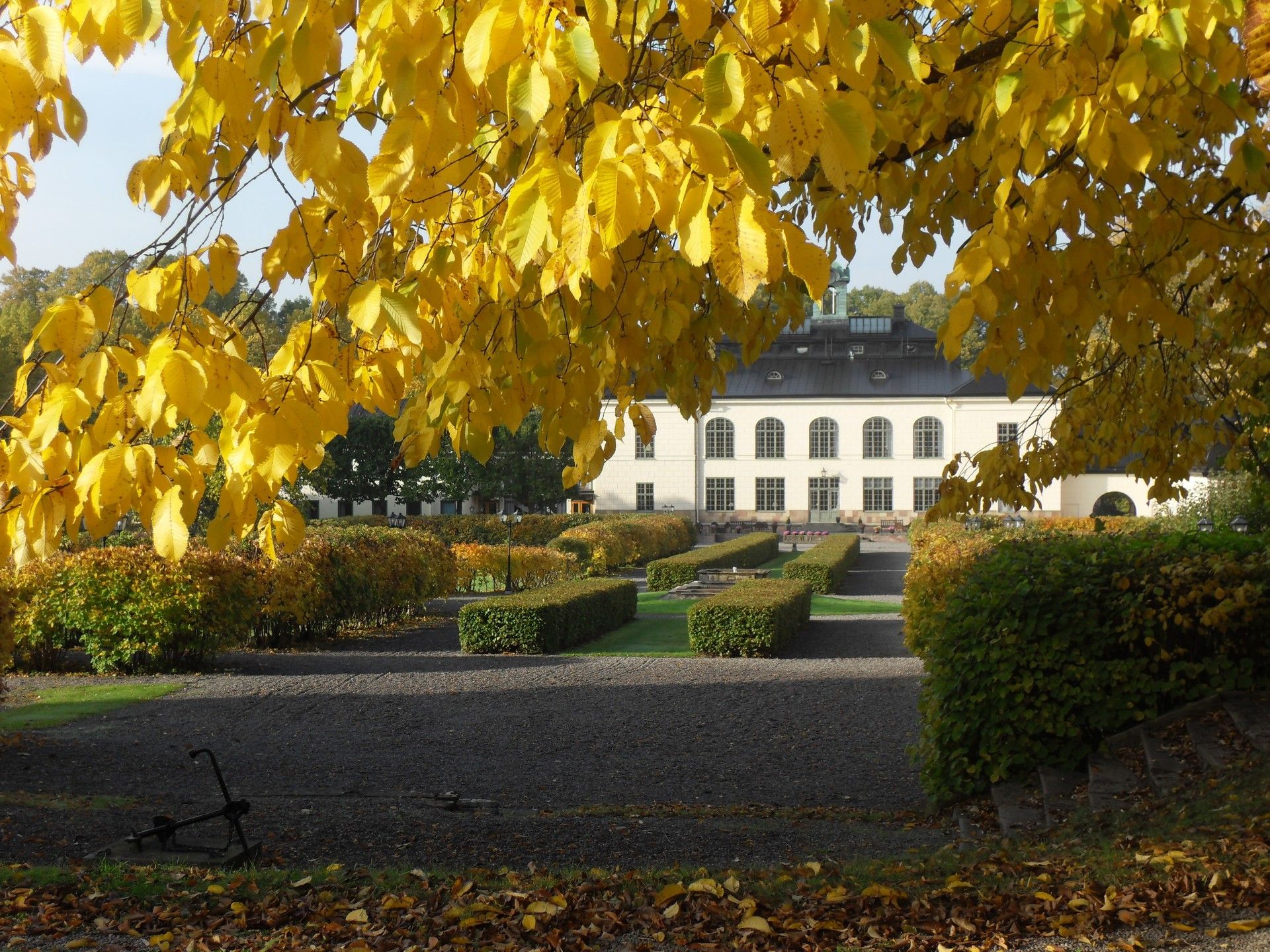 Omgivelser