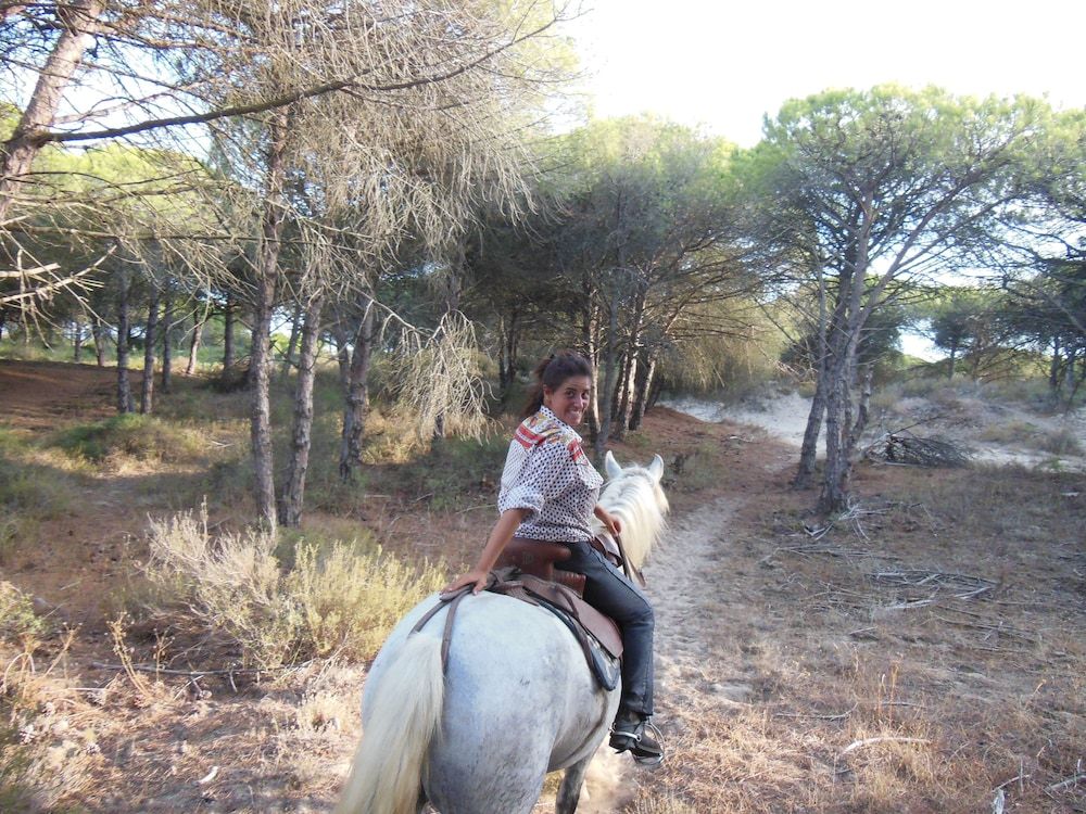 Generelt
