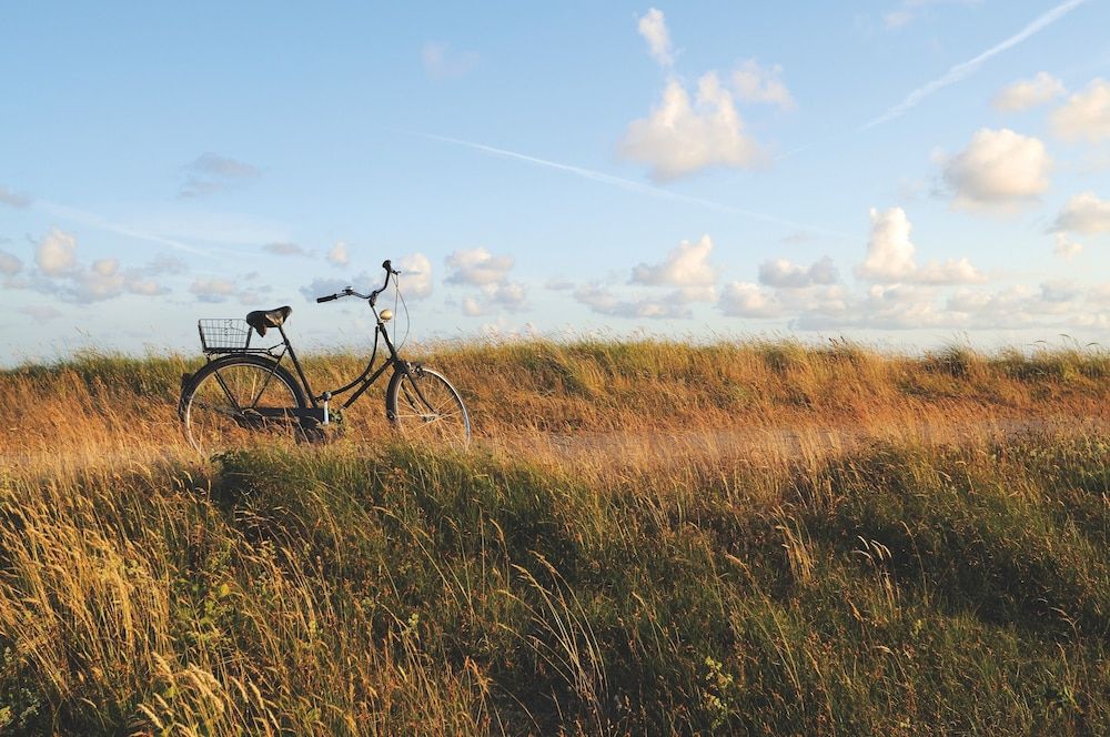 Generelt