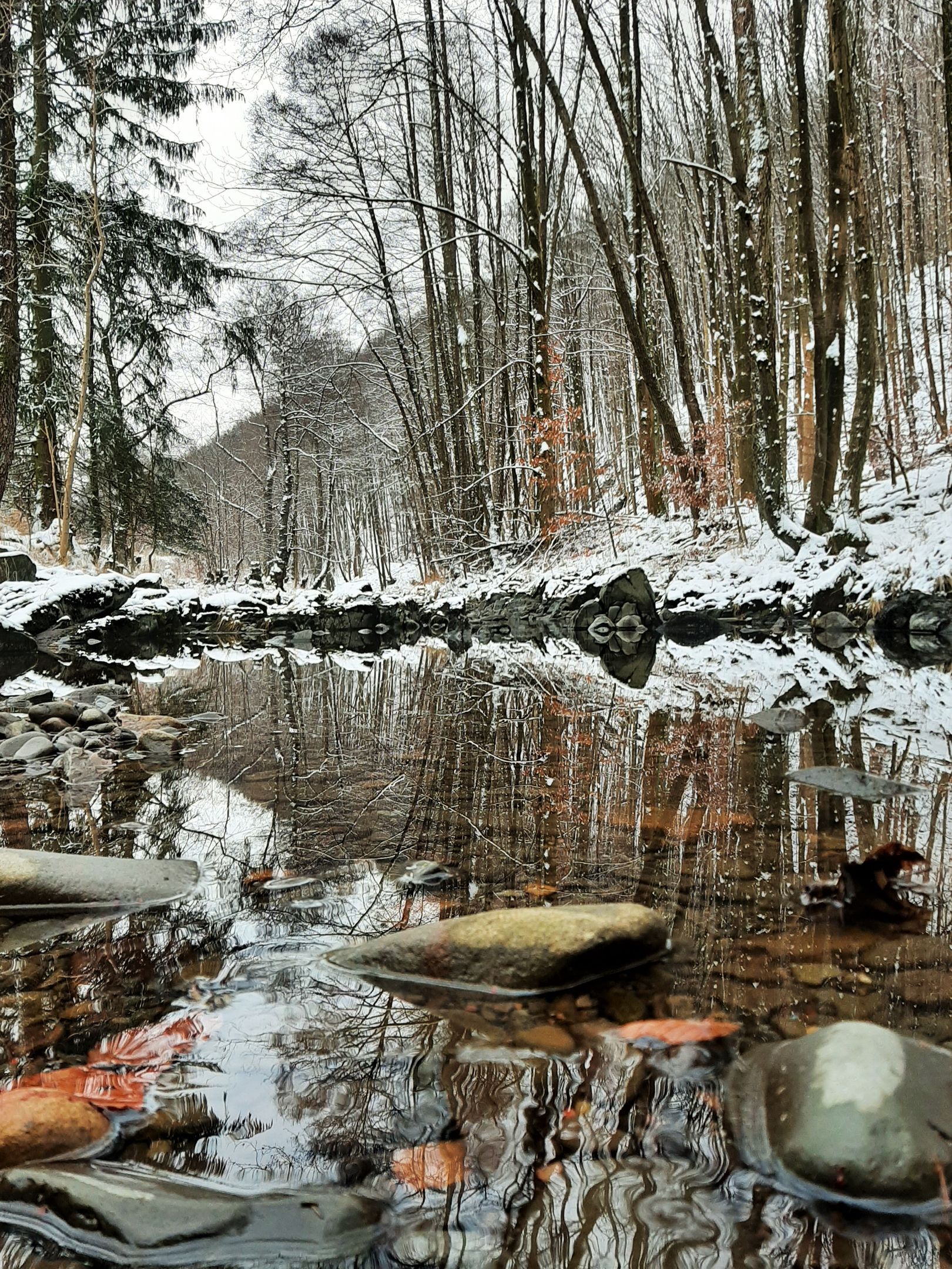 Haus Iris i Sieber - Få de bedste tilbud!