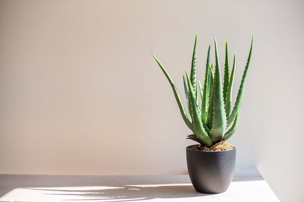 Generelt