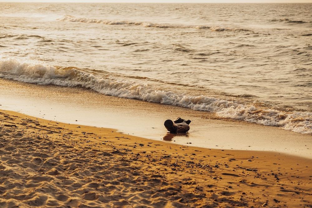 Generelt