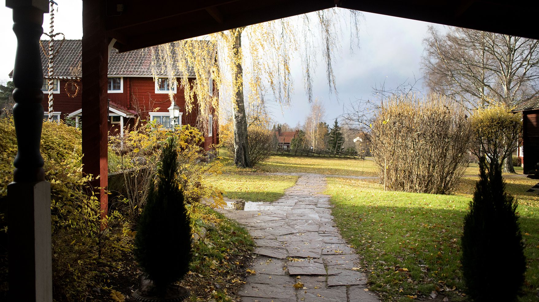Omgivelser