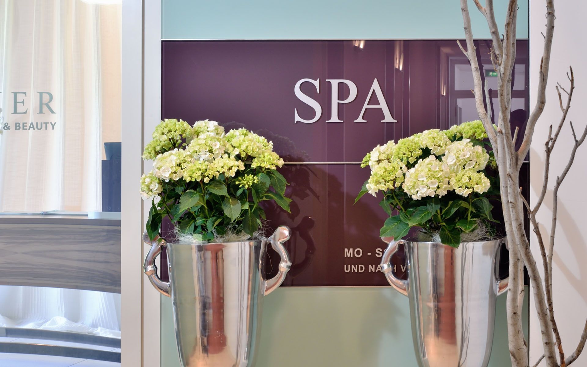 Spa / Wellness