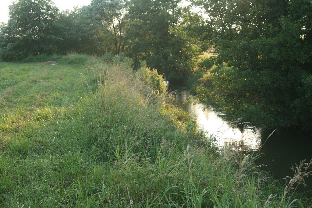 Omgivelser