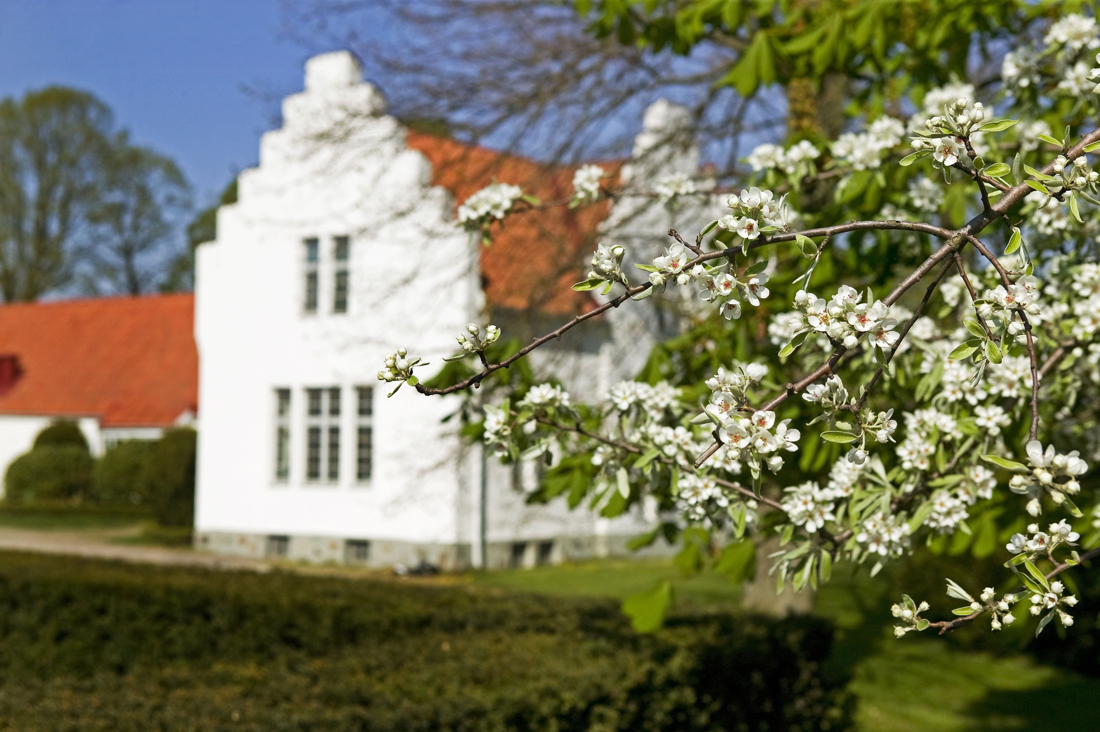 Omgivelser