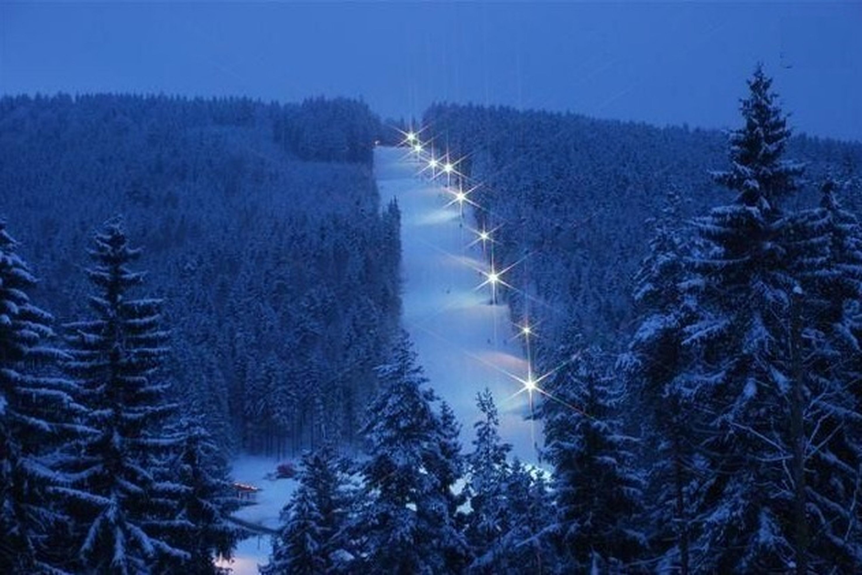 Skiområde