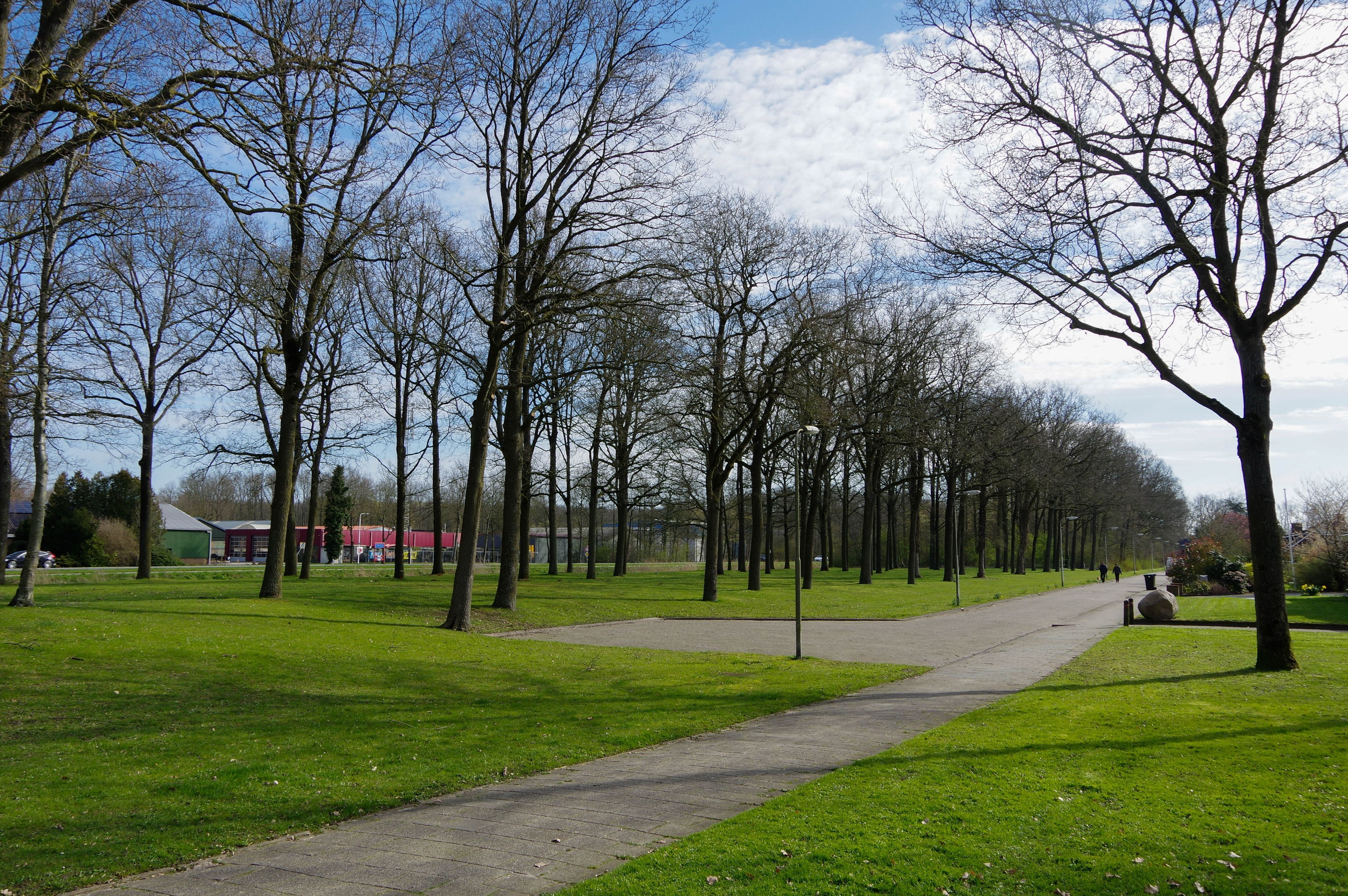 Omgivelser
