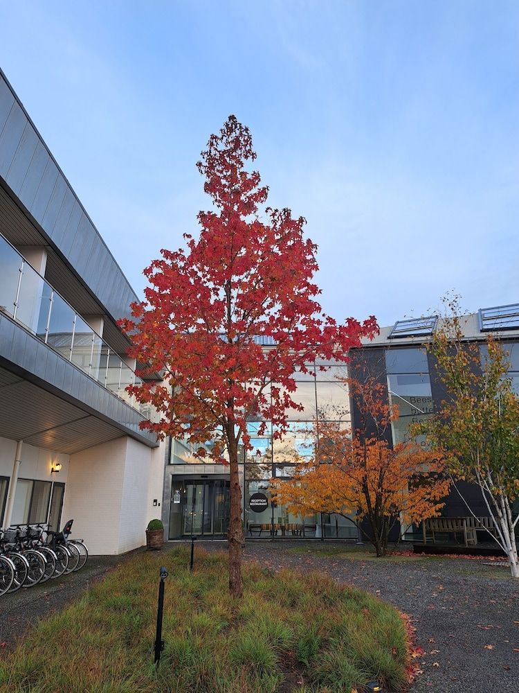 Generelt