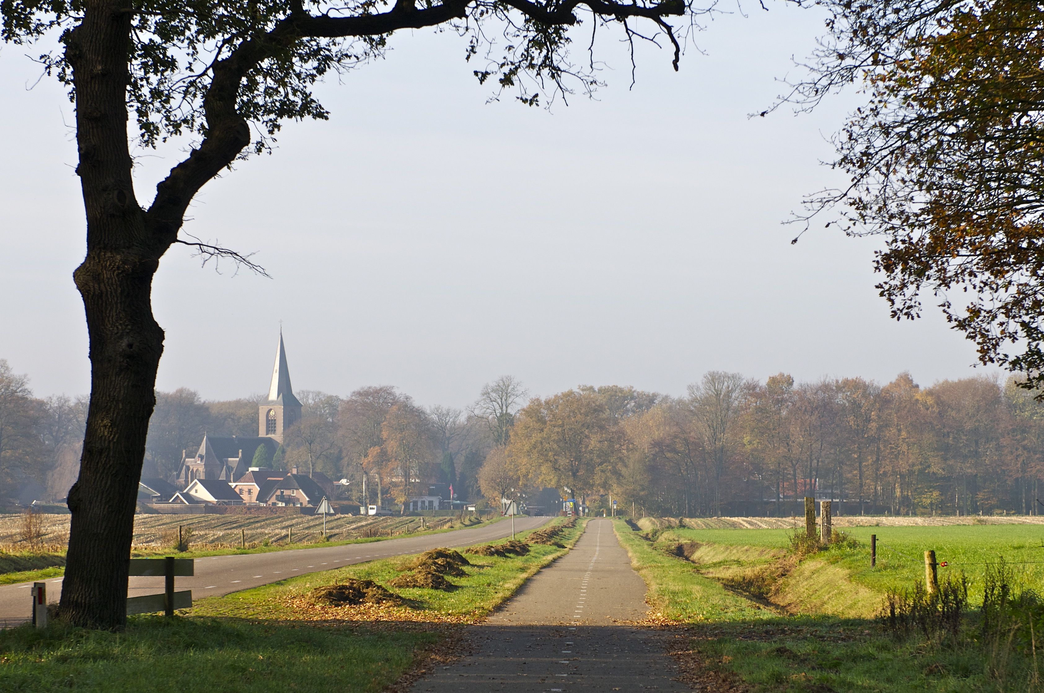 Omgivelser