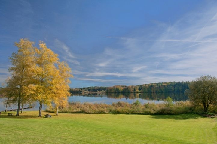 Omgivelser