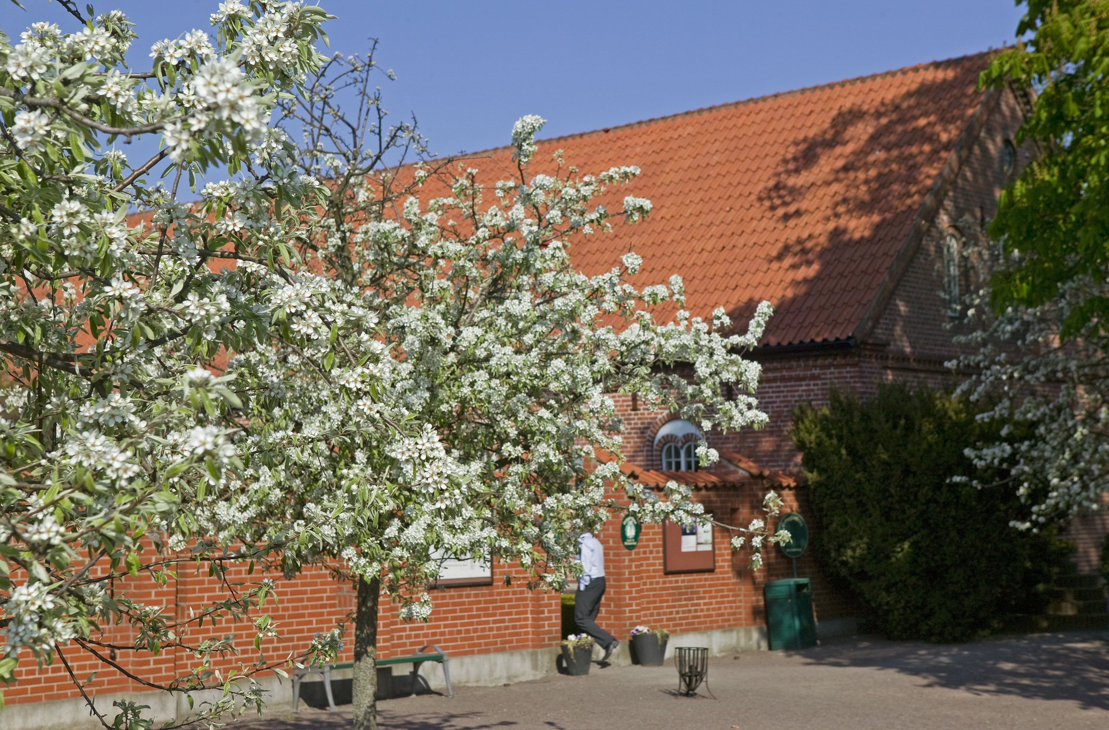 Omgivelser