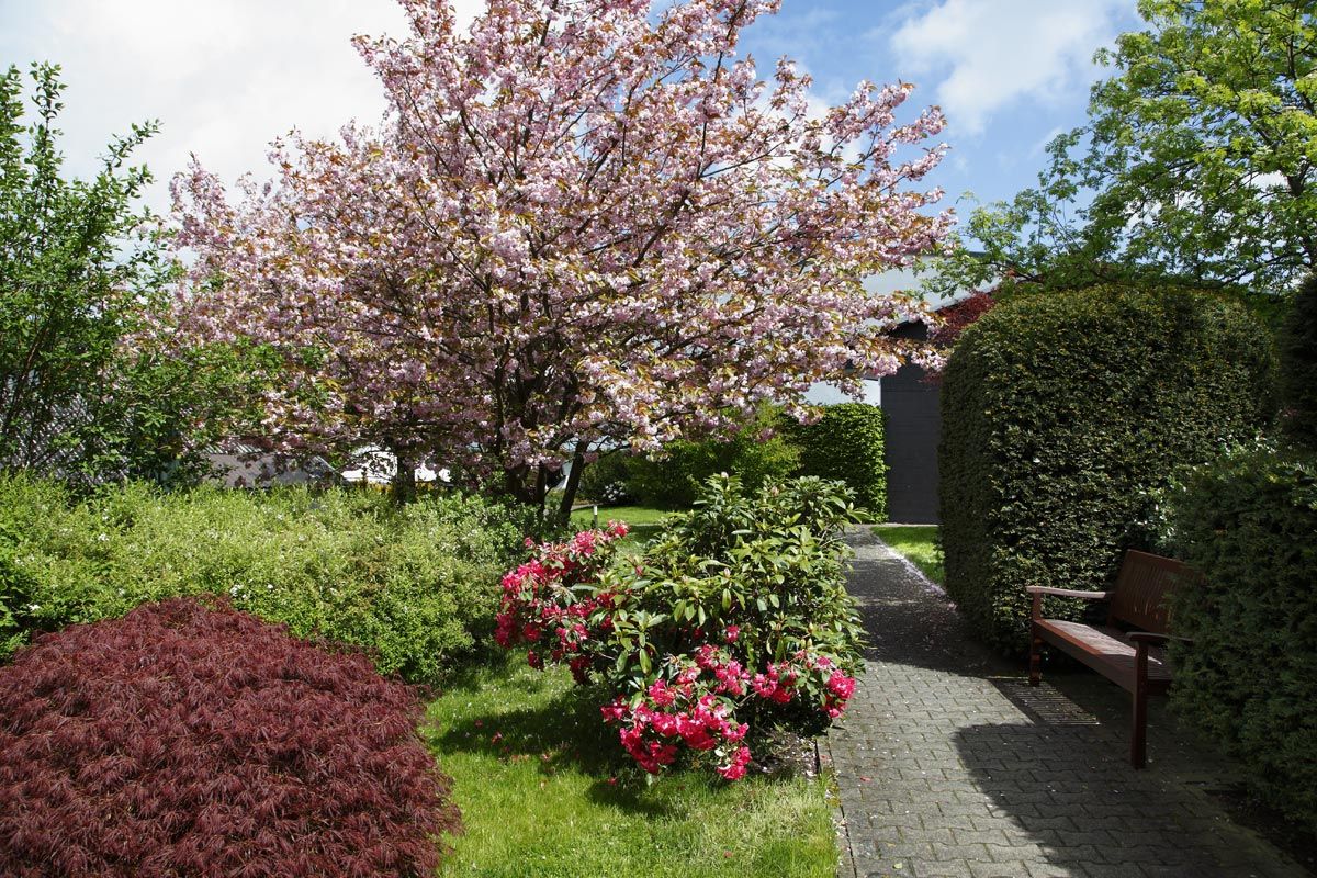 Hovedbillede
