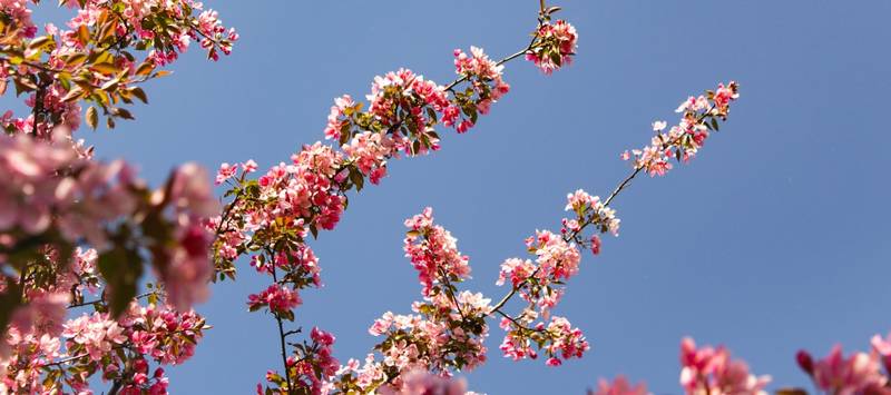 Spring Sale