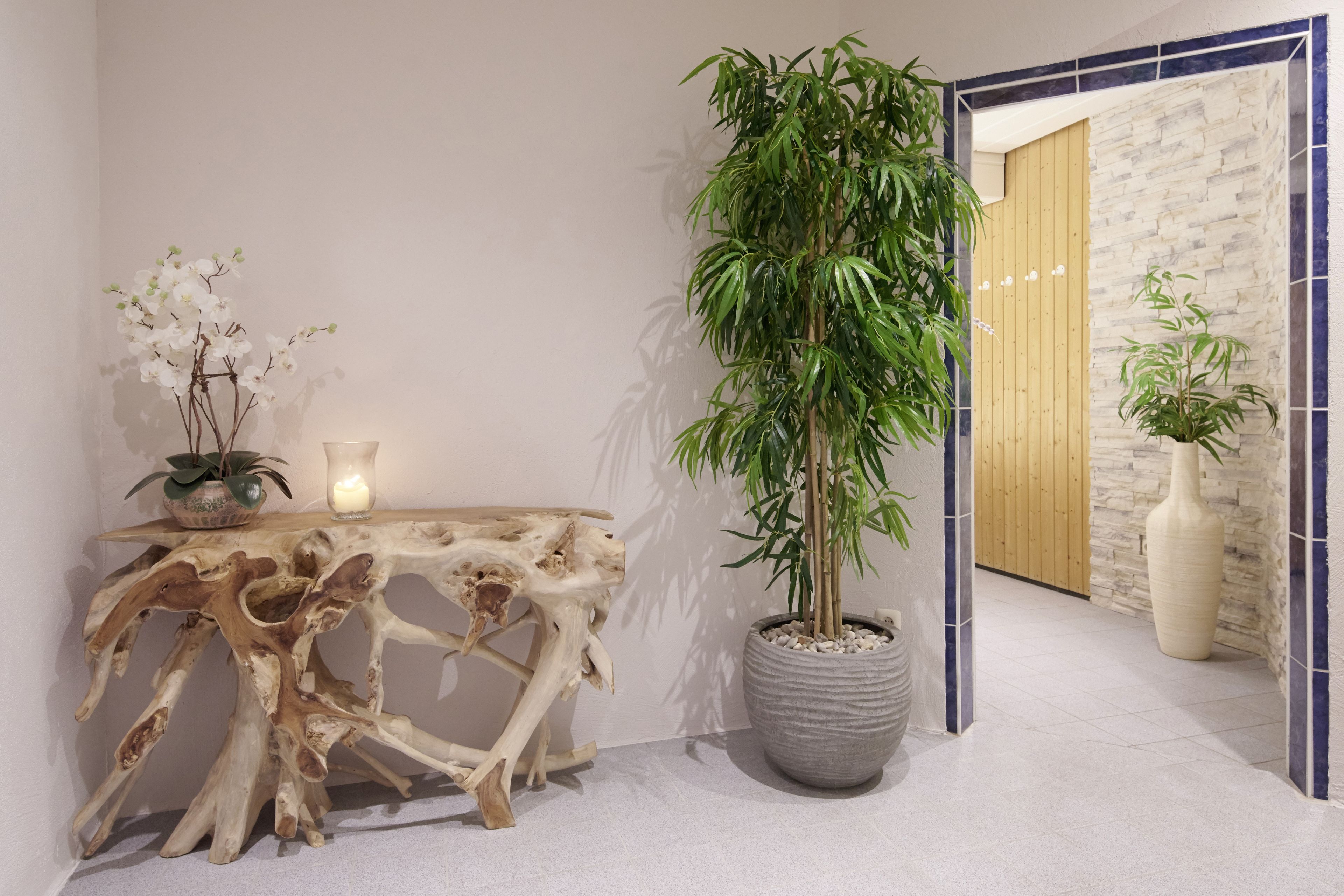 Spa / Wellness