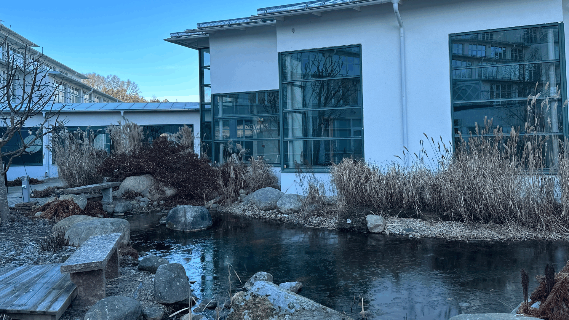 Spa / Wellness