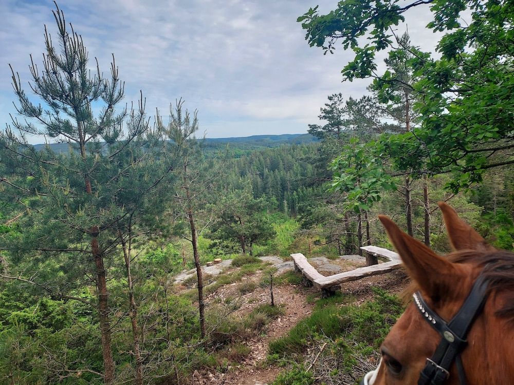 Generelt