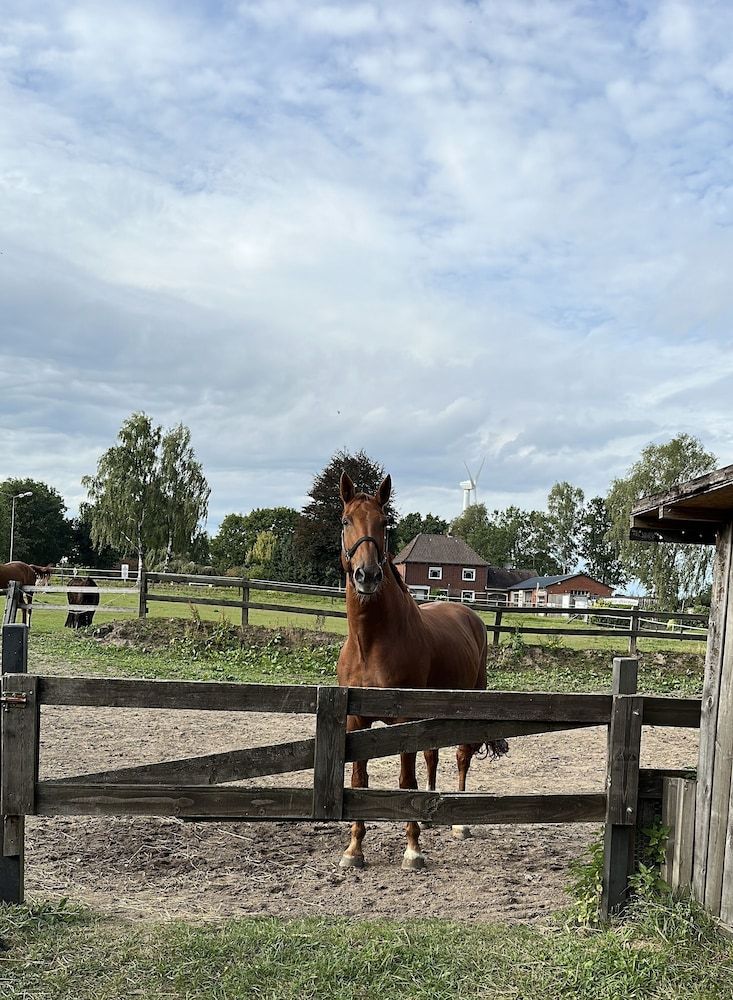 Generelt
