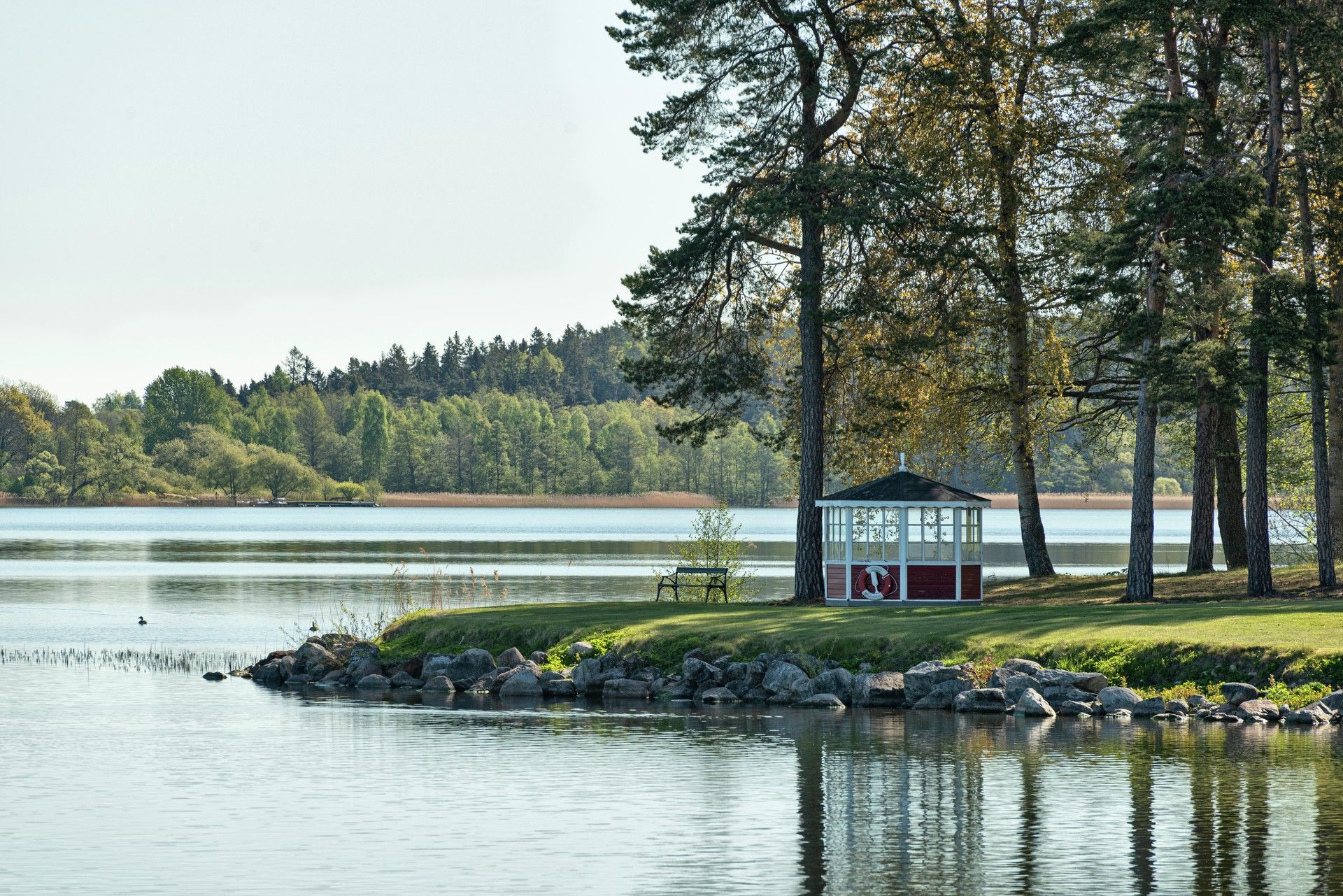 Omgivelser
