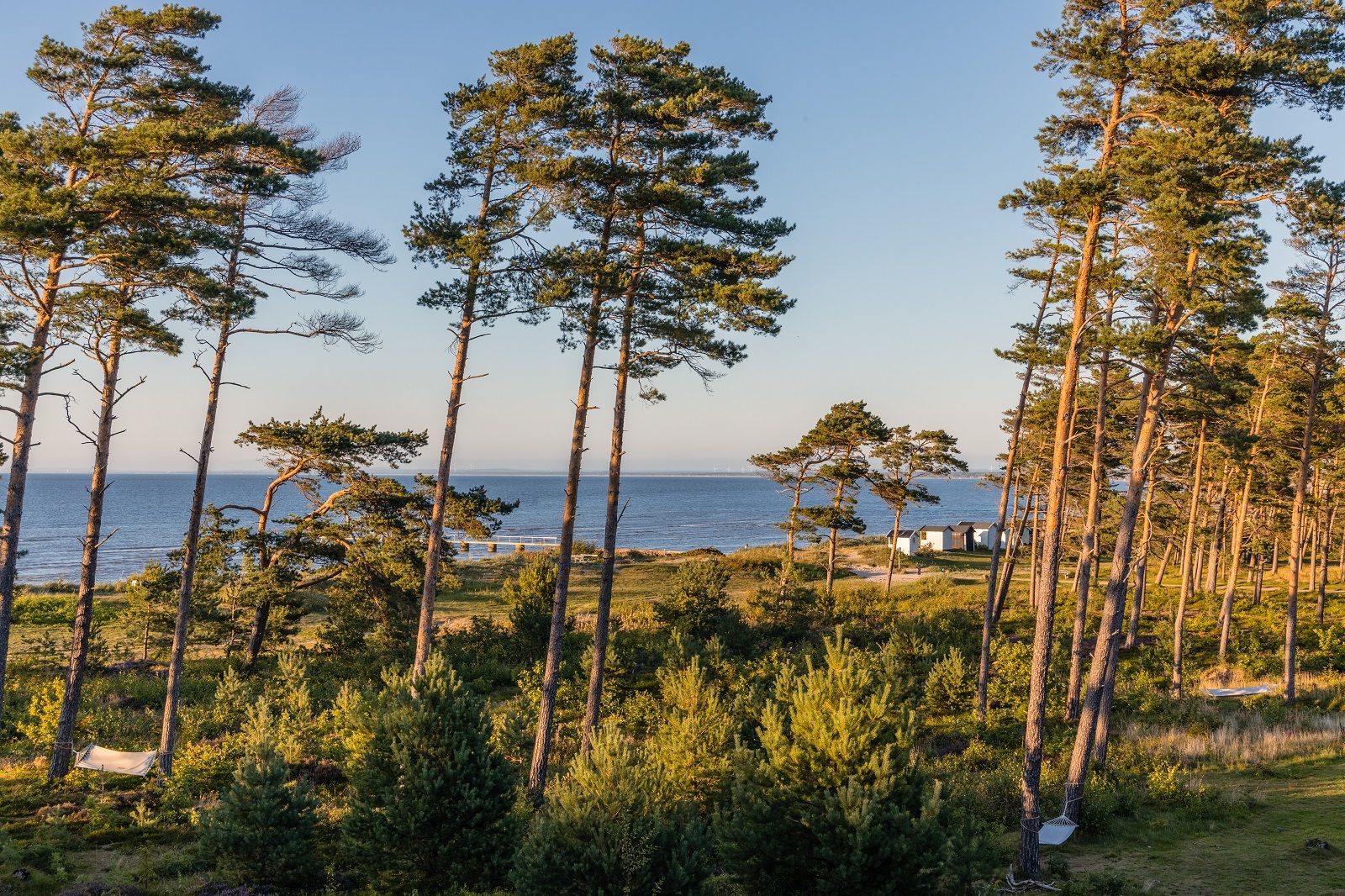 Omgivelser