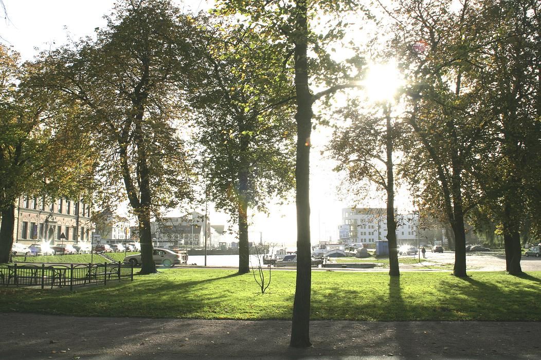 Omgivelser