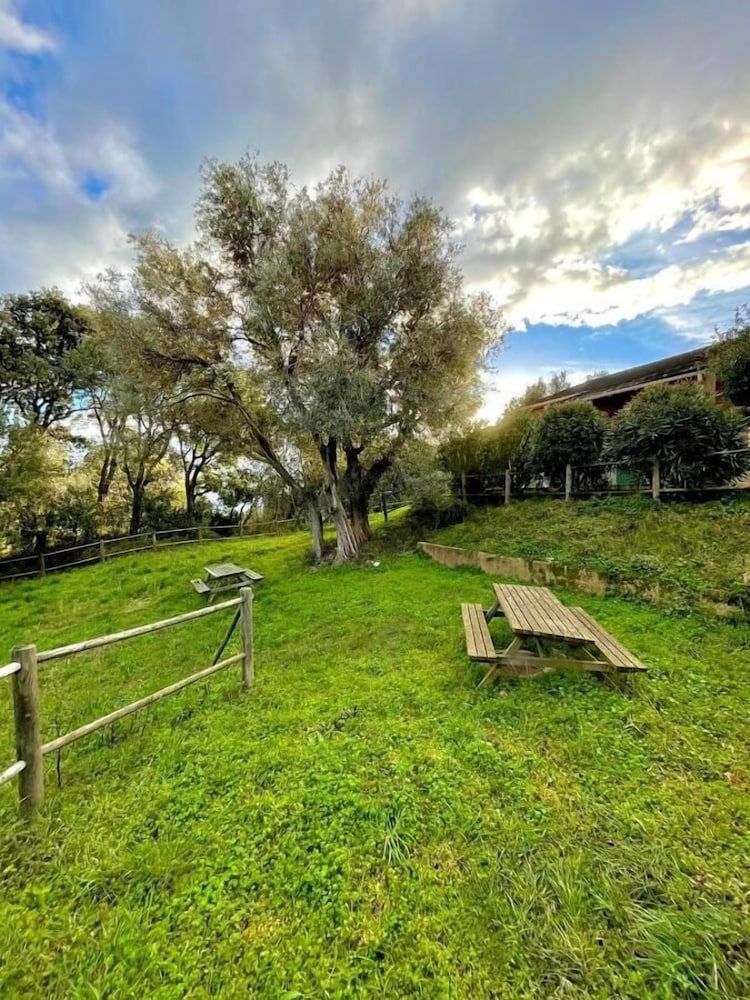Generelt