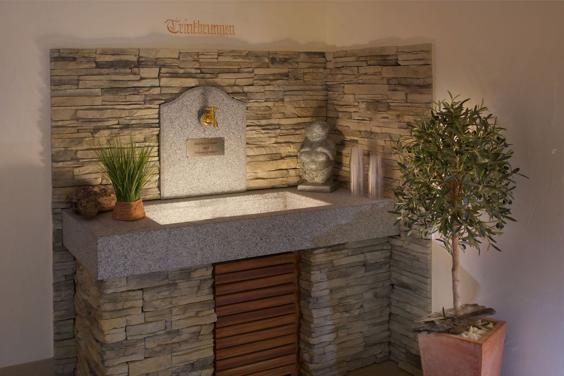 Spa / Wellness