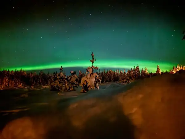 Nederhögen Vildmarkscenter - Familieværelse til 4 personer - GENERAL